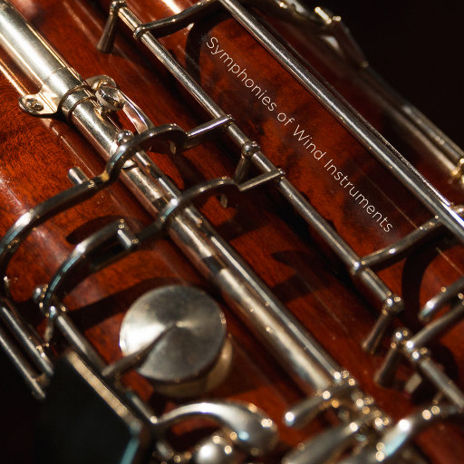 日本性教育女子全部裸体
